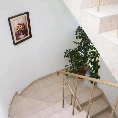 Guest house Sokratovi 3*