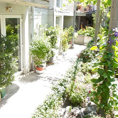 Guest house Sokratovi 3*