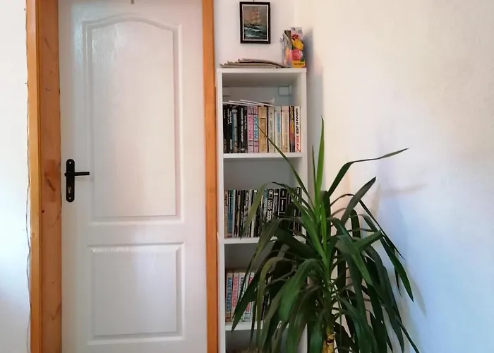 Sokratovi Guest house Obzor