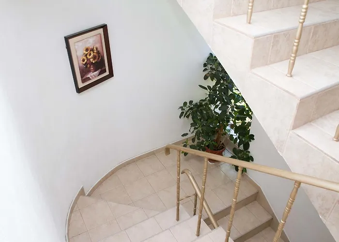 Guest house Sokratovi 3*