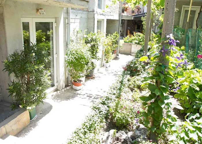 Guest house Sokratovi 3*